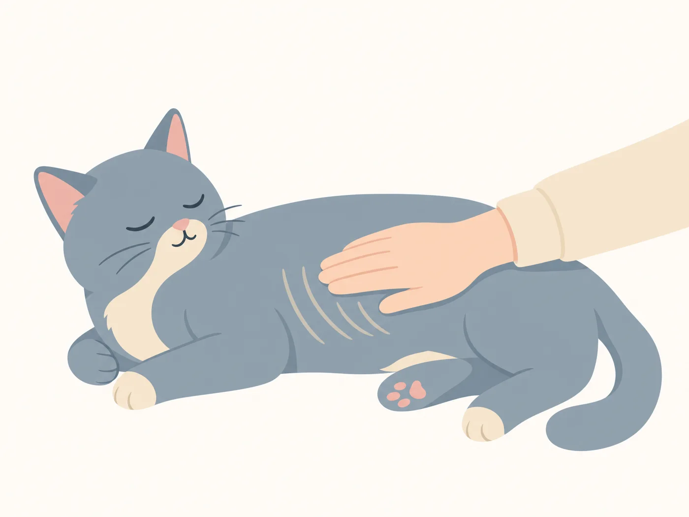 猫の横腹を手のひらで軽くなでて肋骨を確かめるイラスト